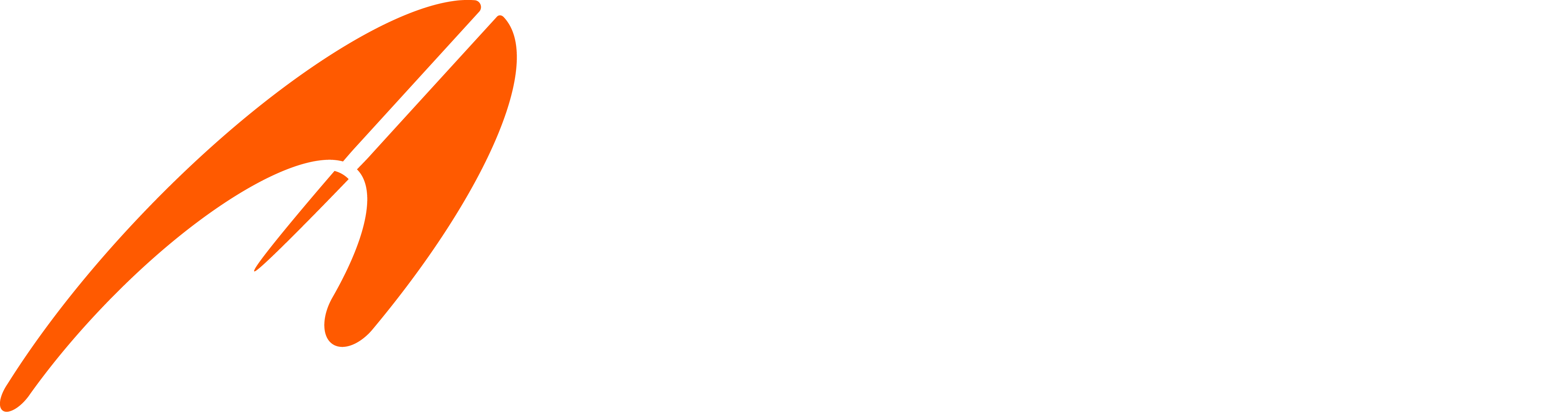 Paddle Worldwide Logo